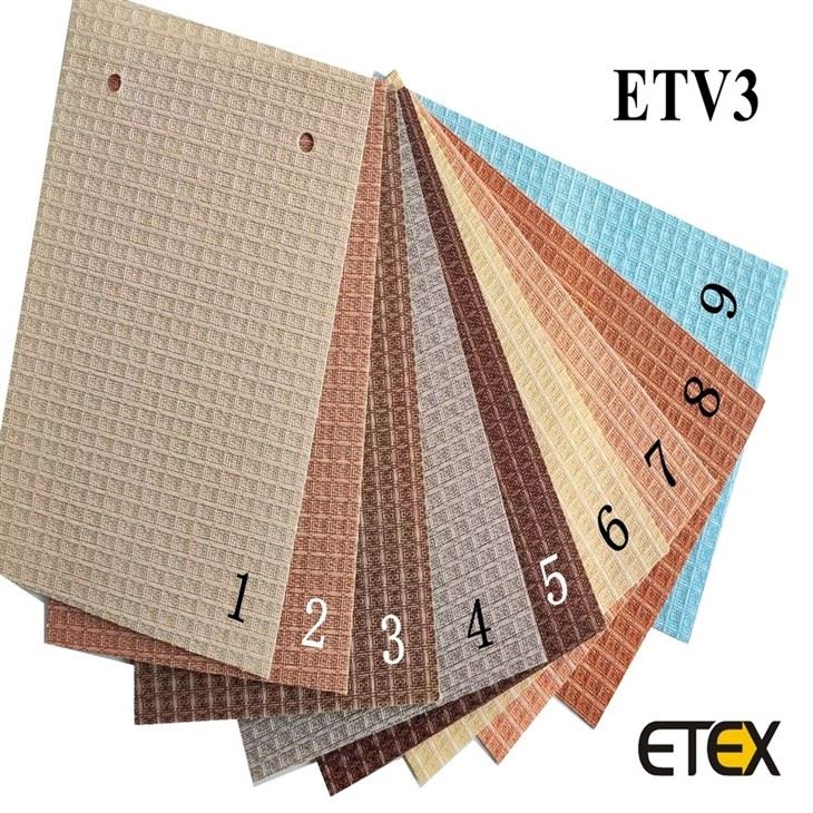ETV3